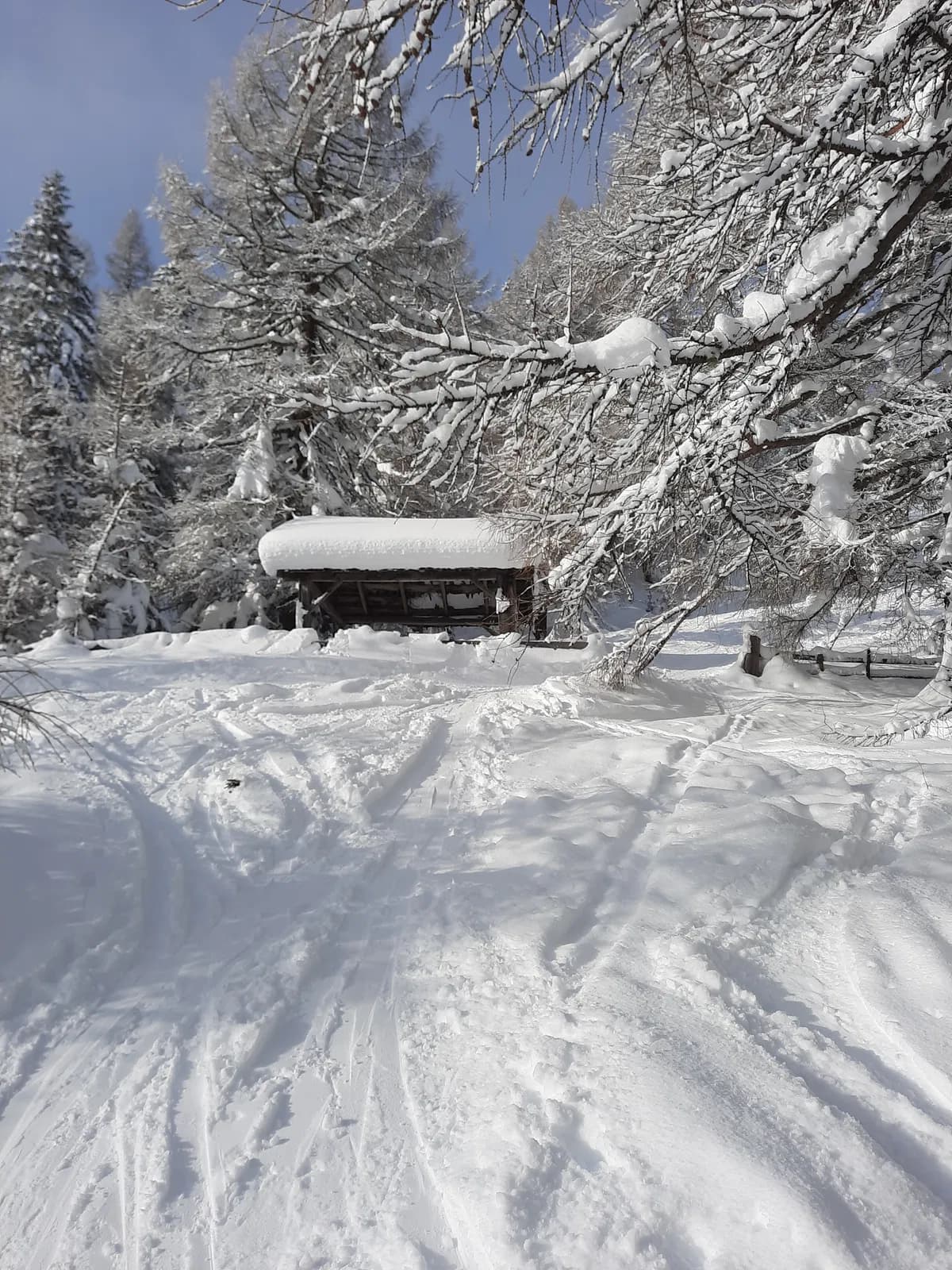 Tief verschneite Winterlandschaft am Sattelberg