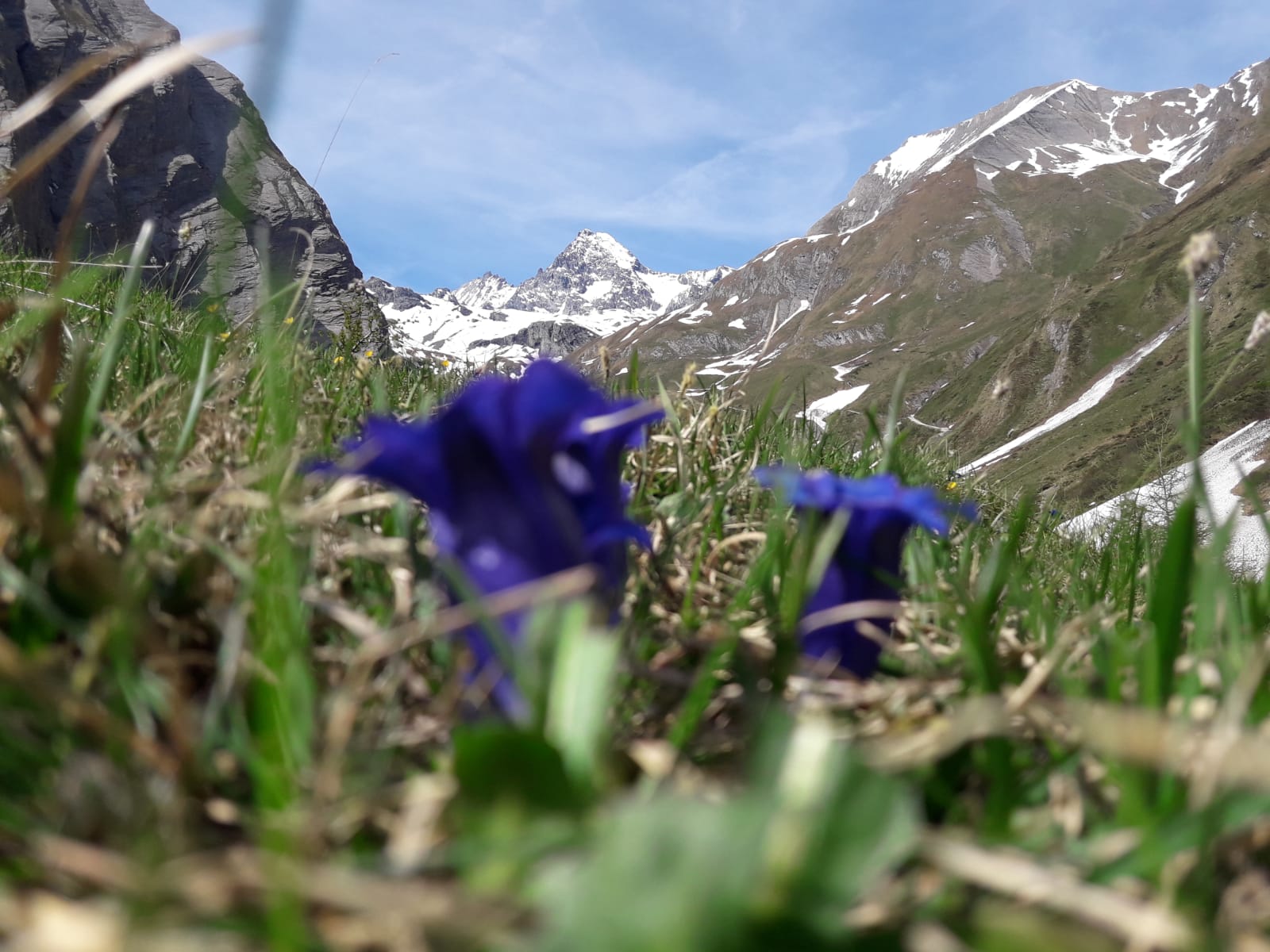 Grossglockner thront über dem Tal