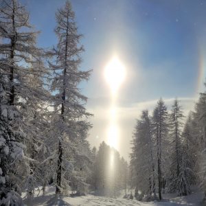 Winterwald im Wipptal