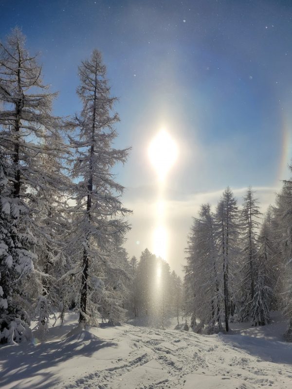 Winterwald im Wipptal