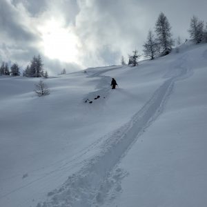 Hüfttiefer Powder - Skifahrer in der Abfahrt