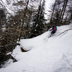 Skifahrer im Power im Wald