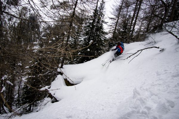Skifahrer im Power im Wald