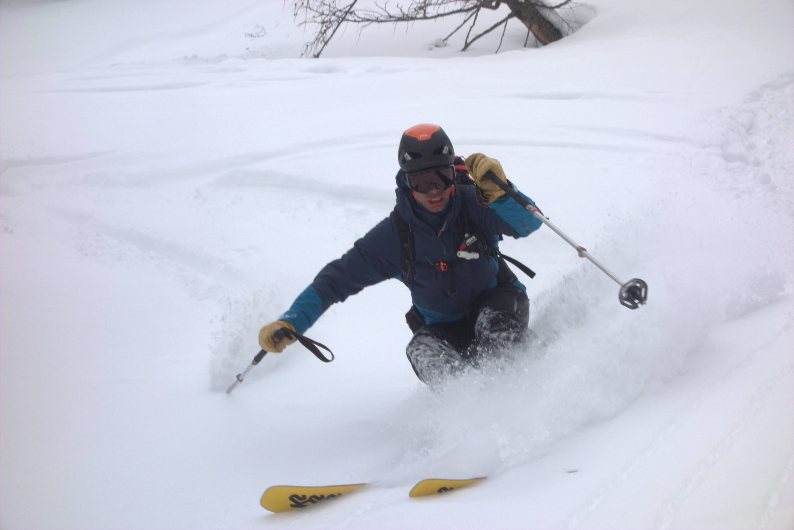 Skifahrer im Powder