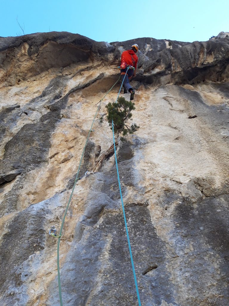 Verdon - Klettern in bestem Kalk mit Geiern über den Köpfen