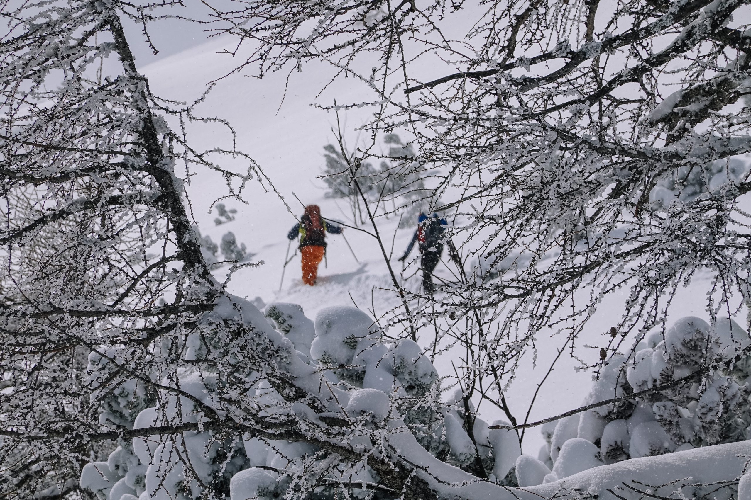 Freeride Friday – Freeriden where its best!
